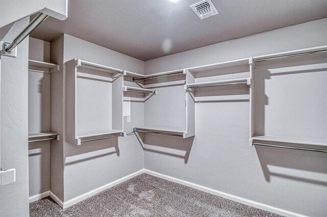 11100 NW 131st St, Yukon, OK 73099 - spacious closet featuring carpet floors