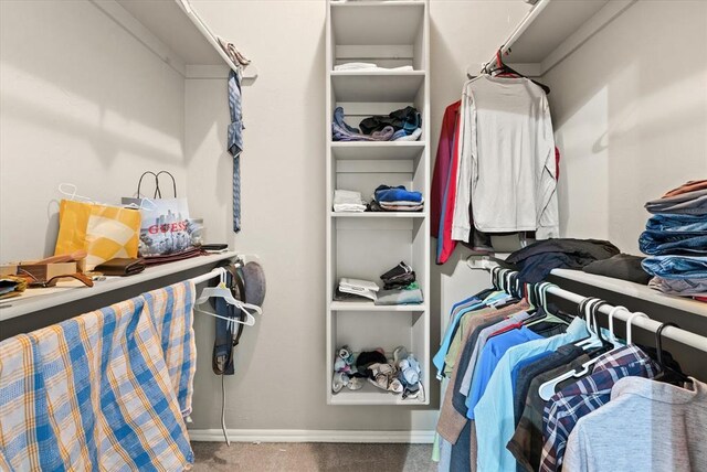 3401 First Capitol Cir, Guthrie, OK 73044 - spacious closet with carpet flooring