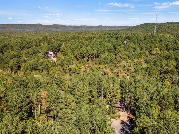 284 Red Berry Trl, Broken Bow, OK 74728 - aerial view of a forest and a mountain backdrop