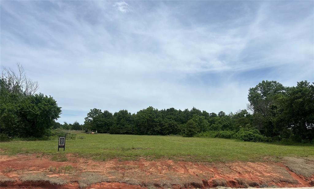 1225 Layla Ln, Blanchard, OK 73010