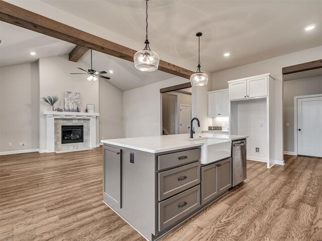 915 Kings Canyon Rd, Norman, OK 73071 - kitchen featuring gray cabinets, stainless steel dishwasher, light wood-style flooring, a sink, and recessed lighting
