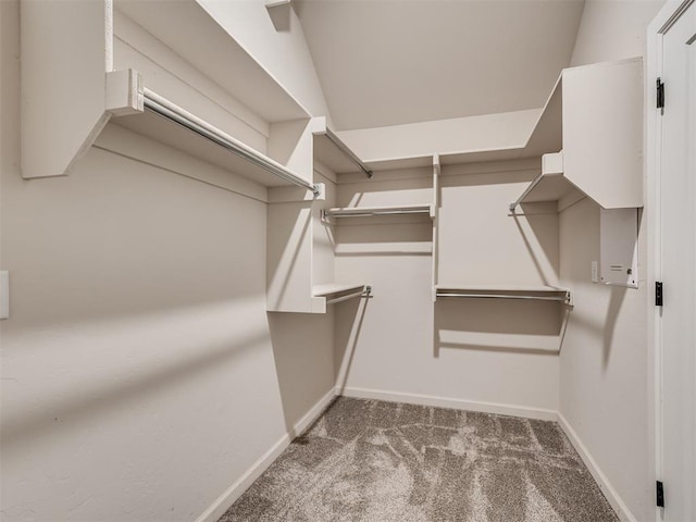 915 Kings Canyon Rd, Norman, OK 73071 - walk in closet featuring carpet flooring