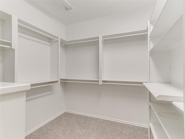 1031 Hidden Valley Ln, Choctaw, OK 73020 - walk in closet featuring carpet floors