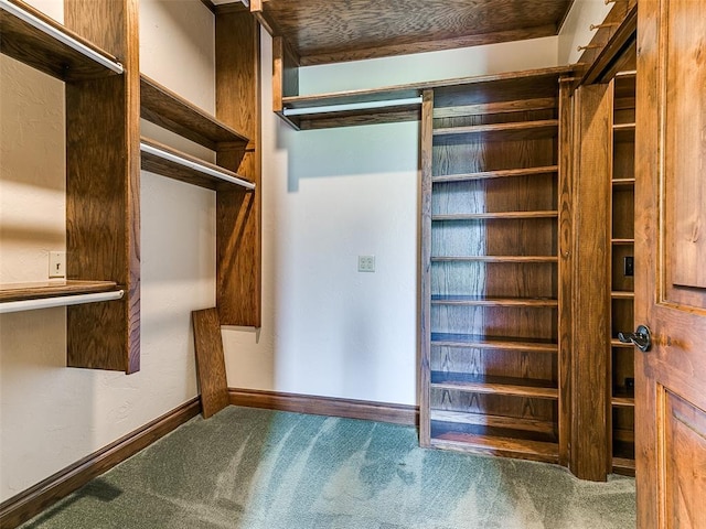 1031 Hidden Valley Ln, Choctaw, OK 73020 - spacious closet with carpet floors