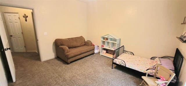 319 W Cedar Ln, Minco, OK 73059 - living area with carpet flooring