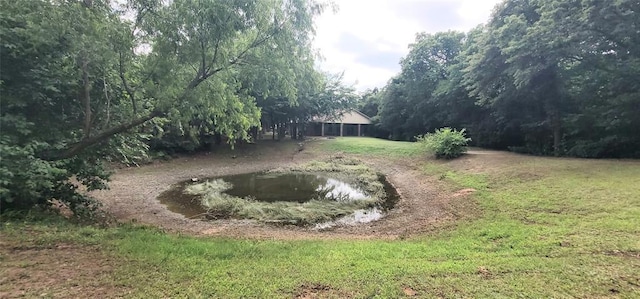 319 W Cedar Ln, Minco, OK 73059 - view of grassy yard
