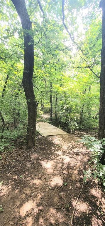 319 W Cedar Ln, Minco, OK 73059 - view of wooded area
