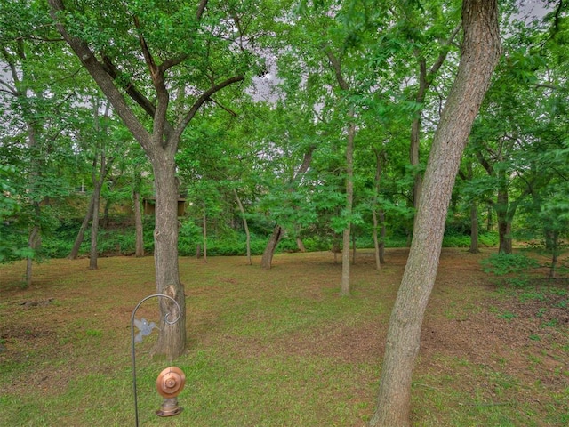 2120 Turtle Creek Dr, Norman, OK 73071 - view of yard