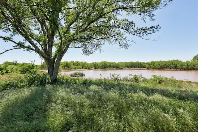 water view featuring a forest