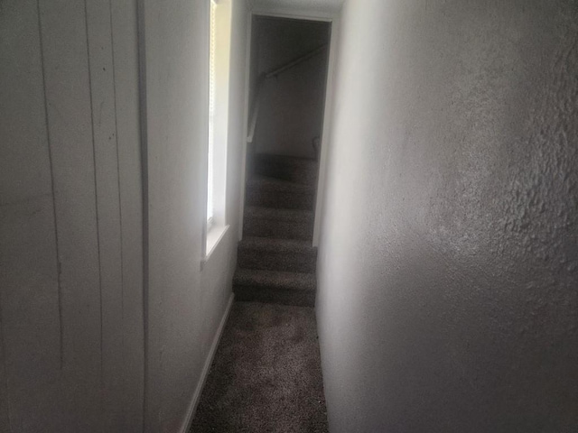 1003 E Whittaker St, Shawnee, OK 74801 - stairway with carpet flooring