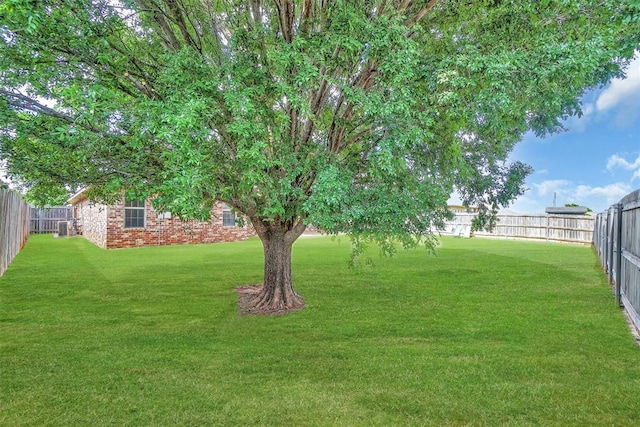 1204 Sheryl Ln, Altus, OK 73521 - view of yard