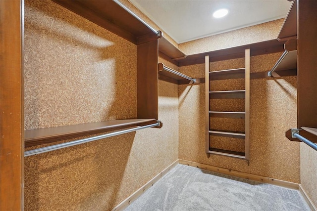 2108 Woodhill Rd, Edmond, OK 73025 - walk in closet with carpet flooring
