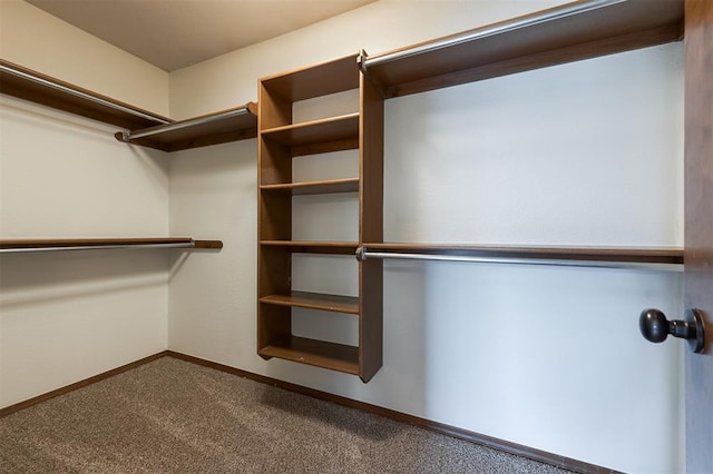 2613 NW 159th St, Edmond, OK 73013 - spacious closet featuring carpet