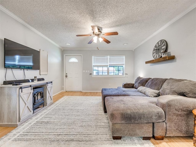 332 Crest Ln, Noble, OK 73068 - living room with crown molding, light wood finished floors, ceiling fan, and a textured ceiling