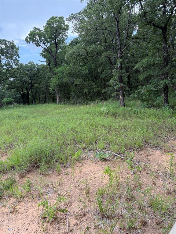 16200 Diamond Dr, Norman, OK 73026 - photo 10