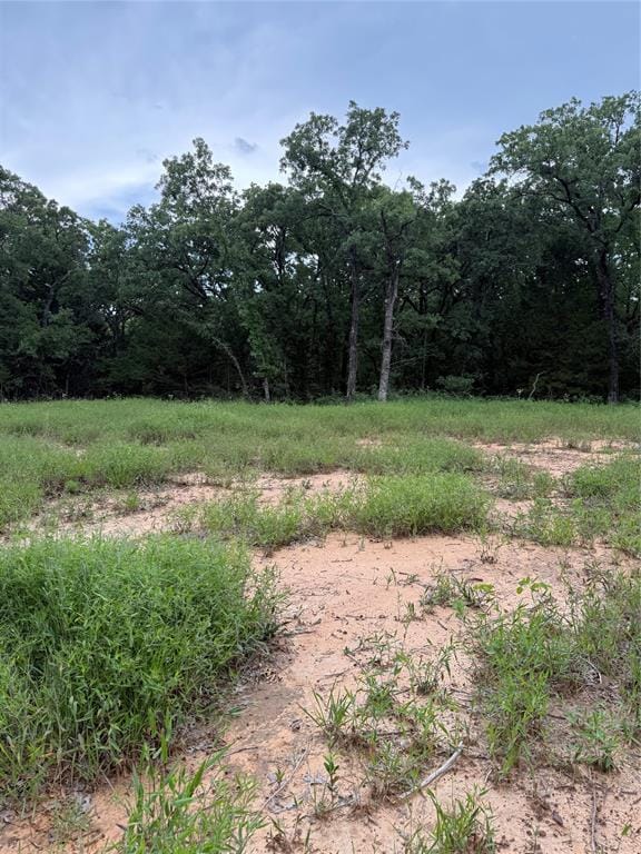 16200 Diamond Dr, Norman, OK 73026 - photo 11