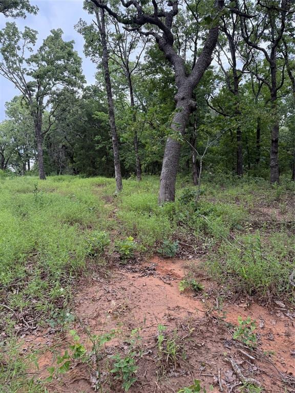 16200 Diamond Dr, Norman, OK 73026 - photo 13