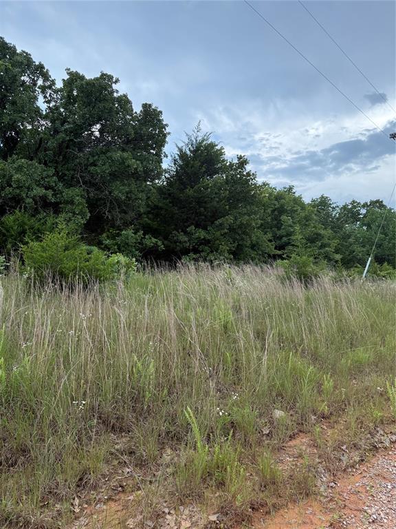 16200 Diamond Dr, Norman, OK 73026 - photo 6
