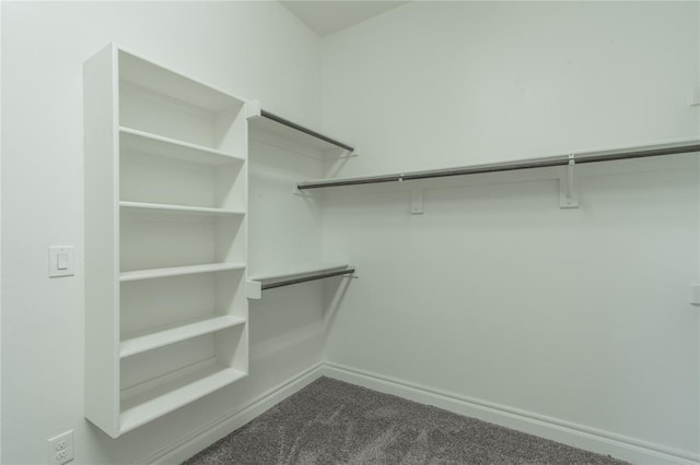 1417 Cordgrass Ct, Edmond, OK 73013 - spacious closet featuring dark colored carpet
