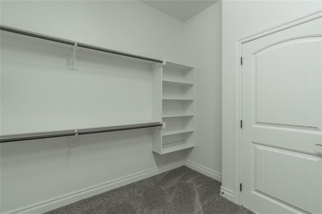 1417 Cordgrass Ct, Edmond, OK 73013 - spacious closet with dark carpet