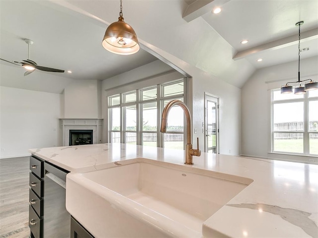 8525 Maple Creek Rd, Arcadia, OK 73007 - kitchen with a sink, stainless steel dishwasher, vaulted ceiling, open floor plan, and wood finished floors