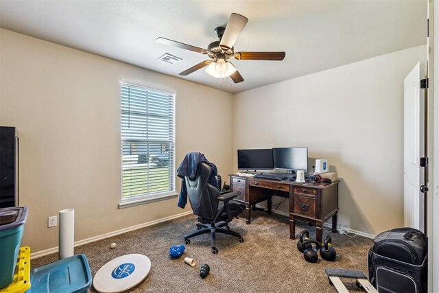 1012 SW 13th St, Moore, OK 73160 - office space with plenty of natural light, ceiling fan, baseboards, and carpet