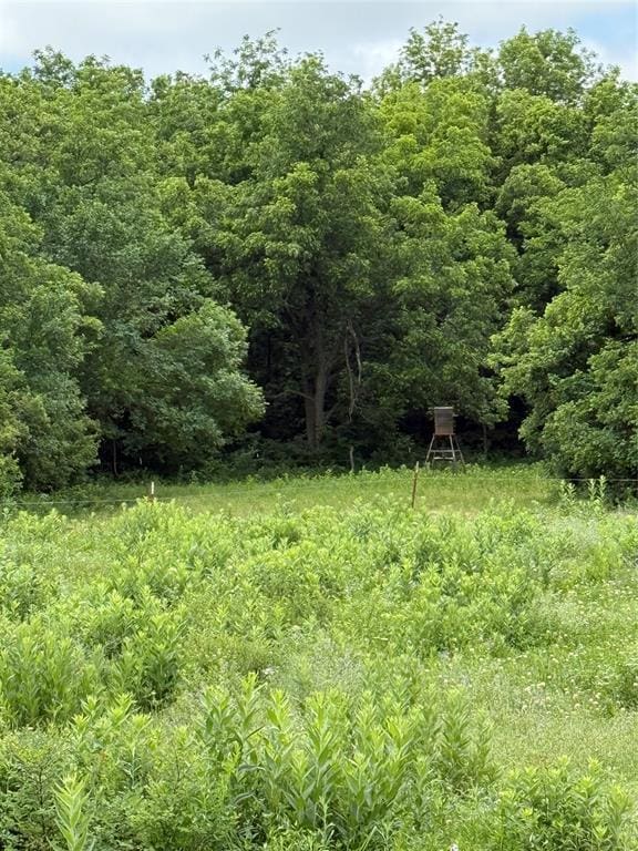 7701 N Brush Creek Rd, Glencoe, OK 74032 - photo 2