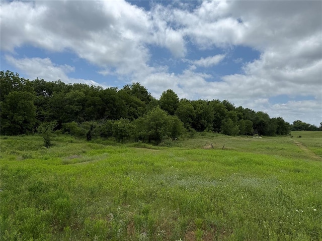 7701 N Brush Creek Rd, Glencoe, OK 74032 - photo 5
