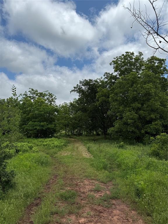 7701 N Brush Creek Rd, Glencoe, OK 74032 - photo 10
