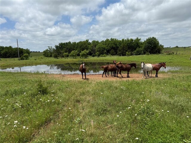 7701 N Brush Creek Rd, Glencoe, OK 74032 - photo 13