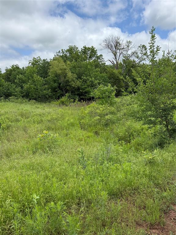 7701 N Brush Creek Rd, Glencoe, OK 74032 - photo 15