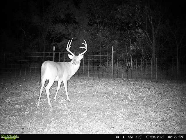 7701 N Brush Creek Rd, Glencoe, OK 74032 - photo 16