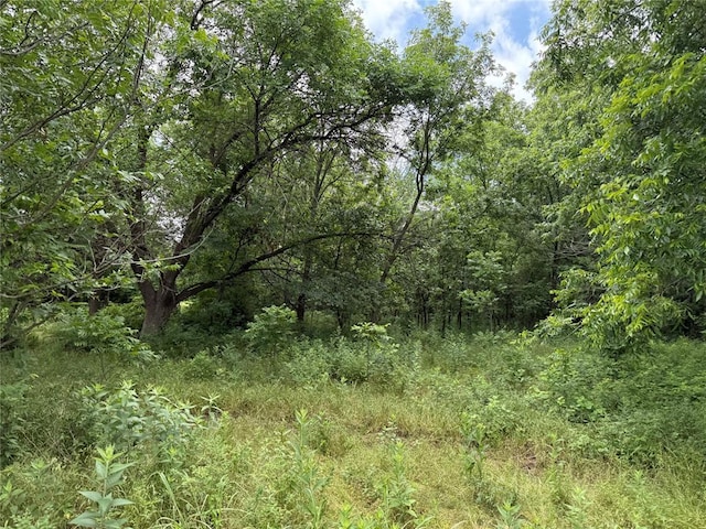 7701 N Brush Creek Rd, Glencoe, OK 74032 - photo 17