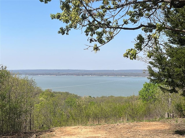 216 N Bk 1600 Rd, Stigler, OK 74462 - water view featuring a heavily wooded area