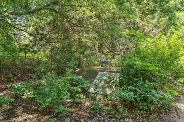 1317 S 58th St, Duncan, OK 73534 - exterior view of a heavily wooded area
