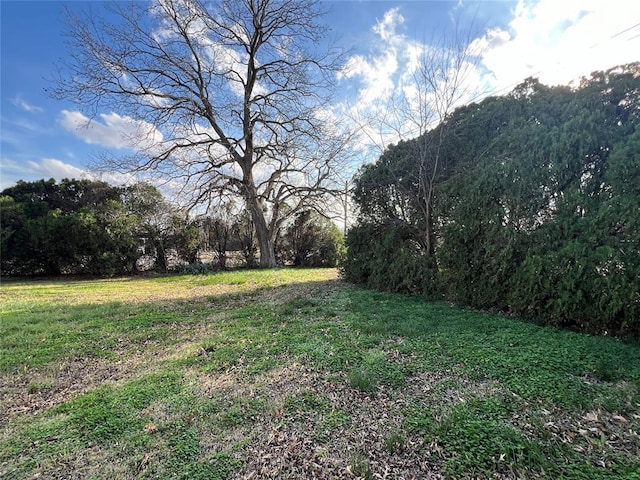 520 S Main St, Wetumka, OK 74883 - view of green lawn