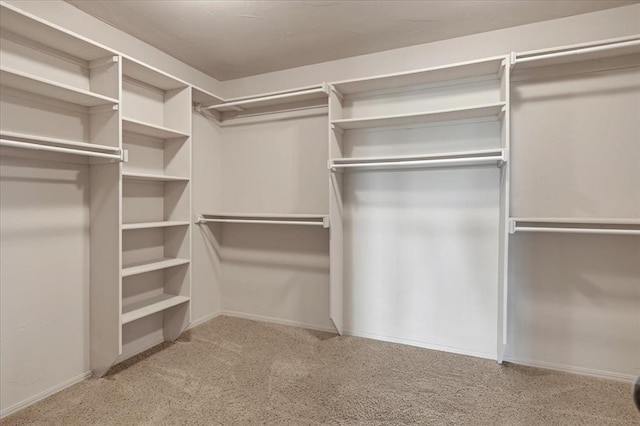 104 Southpointe Ave, Tuttle, OK 73089 - walk in closet with carpet flooring