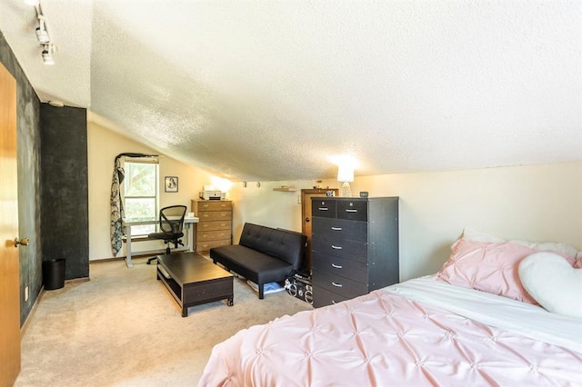 829 Douglas Dr, Norman, OK 73069 - bedroom with a textured ceiling, carpet, and vaulted ceiling