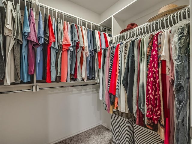 1940 Eli Ave, Tuttle, OK 73089 - walk in closet with carpet floors