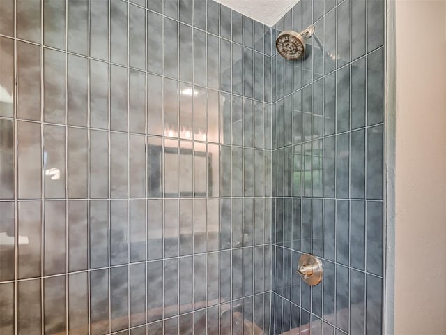 2117 SW 76th St, Oklahoma City, OK 73159 - bathroom view of tiled shower
