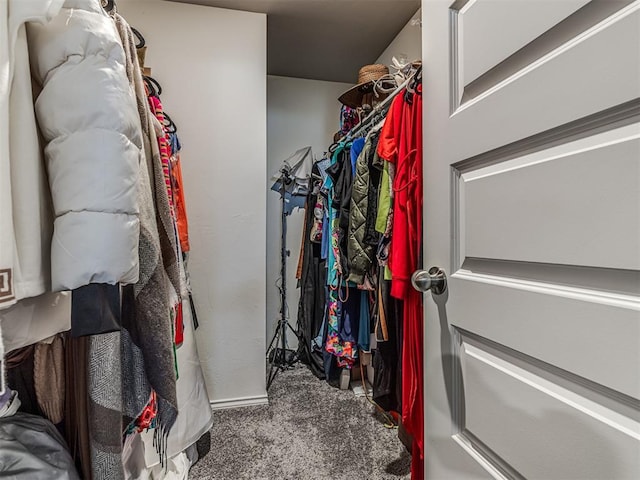 1316 Chuck Wagon Dr, El Reno, OK 73036 - walk in closet with carpet