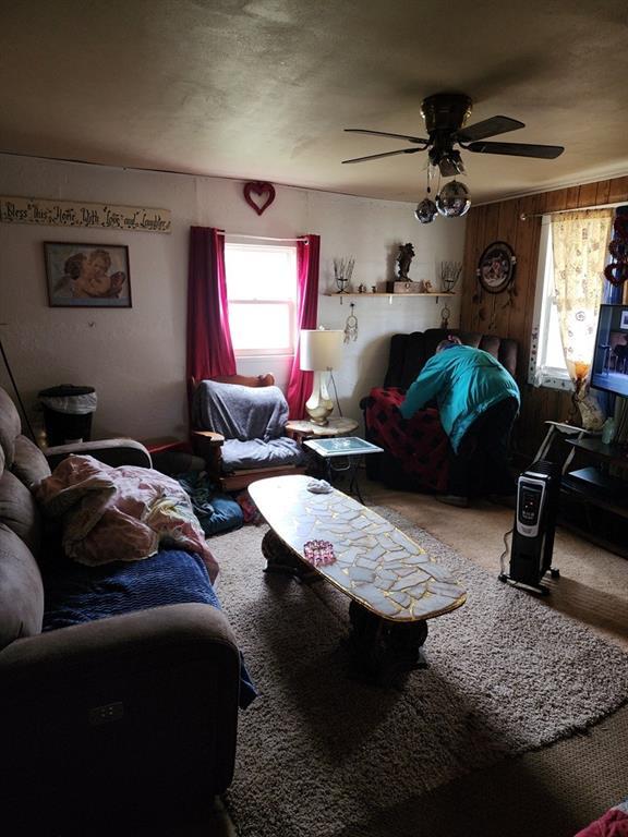 310 Mcgee St, Eufaula, OK 74432 - living area with plenty of natural light, carpet, and ceiling fan