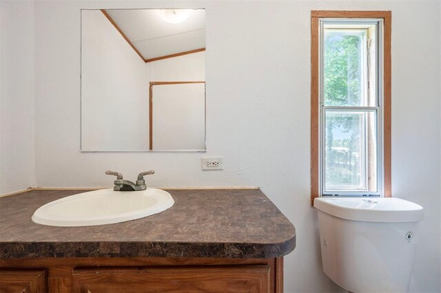 2991 Peavey Xing, Broken Bow, OK 74728 - bathroom with lofted ceiling, vanity, and crown molding