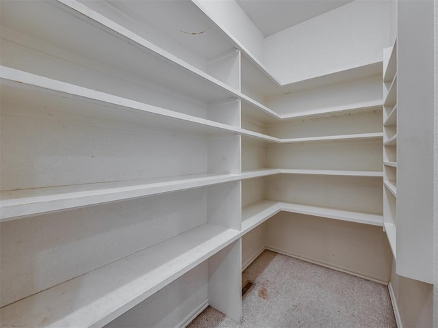 3713 Barwick Ct, Norman, OK 73072 - view of storage area