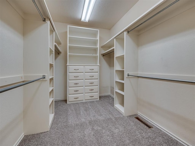 3713 Barwick Ct, Norman, OK 73072 - walk in closet with carpet floors
