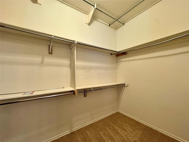 4409 Whitmere Ct, Norman, OK 73072 - spacious closet featuring dark colored carpet