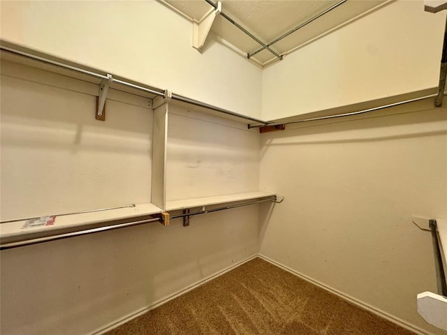 4409 Whitmere Ct, Norman, OK 73072 - walk in closet featuring dark carpet