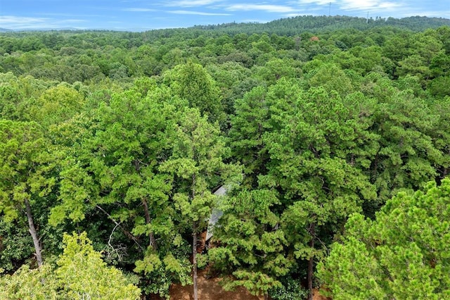 185 Marlin Dr, Broken Bow, OK 74728 - drone / aerial view of a forest