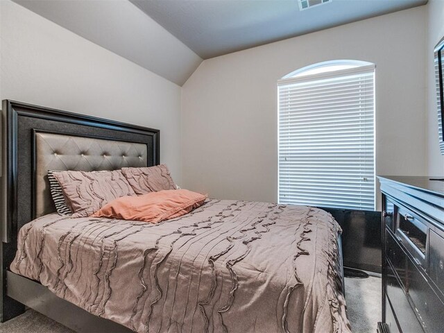 17217 Prado Dr, Oklahoma City, OK 73170 - bedroom featuring carpet and vaulted ceiling
