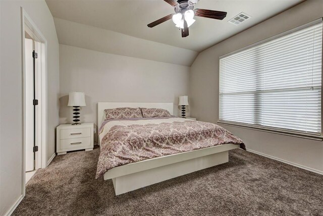8340 NW 137th St, Oklahoma City, OK 73142 - carpeted bedroom with multiple windows, lofted ceiling, and ceiling fan